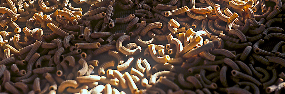 Azienda Agricola Orlandini - produzione biologica