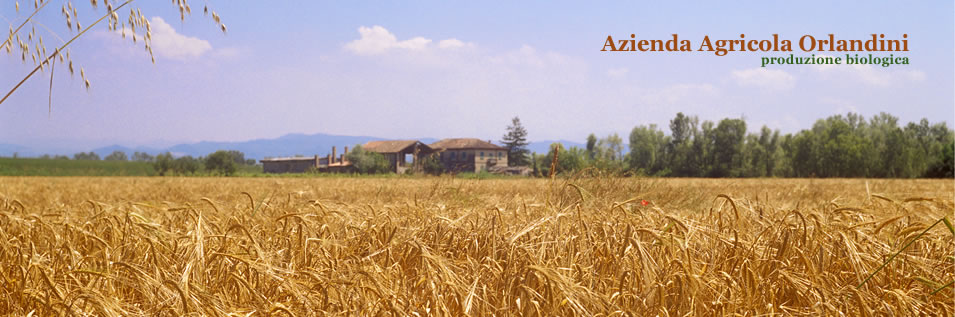 Azienda Agricola Orlandini - produzione biologica