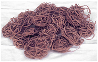 IMMAGINE: pasta di semola integrale di grano duro da agricoltura biologica - tagliolini di farro